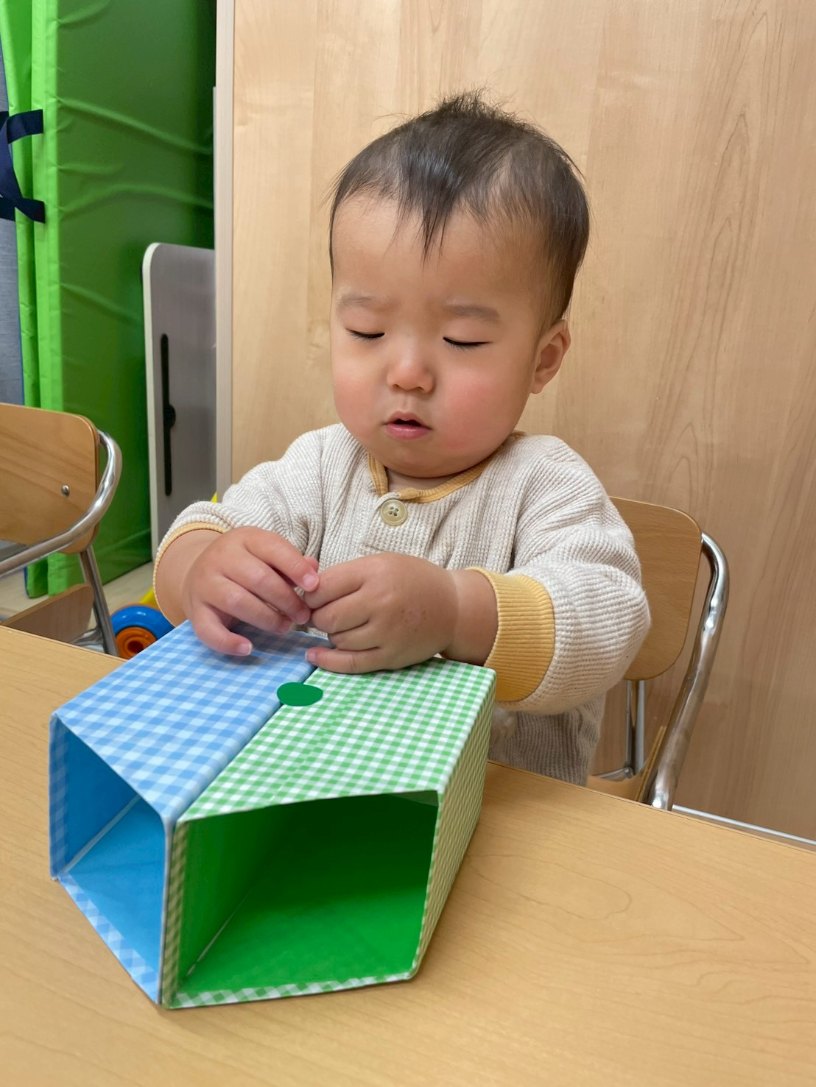 ひよこ組🐣 - 社会福祉法人汰功樹会 わくわくかんまち保育園